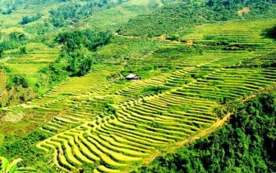 VIETNAM TAILOR-MADE HOLIDAY 17 DAYS